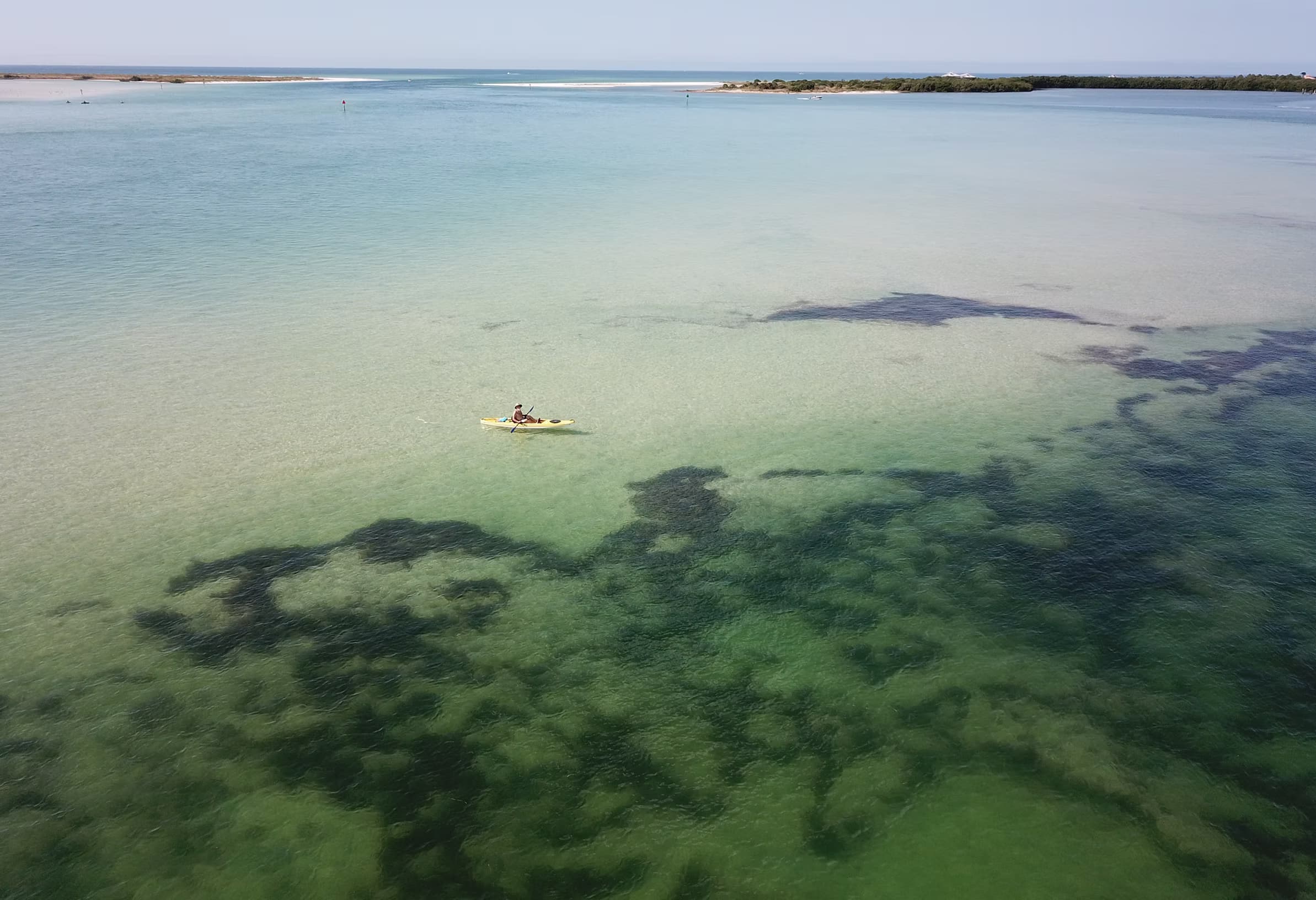 Clean waterways protected by WaterWolf